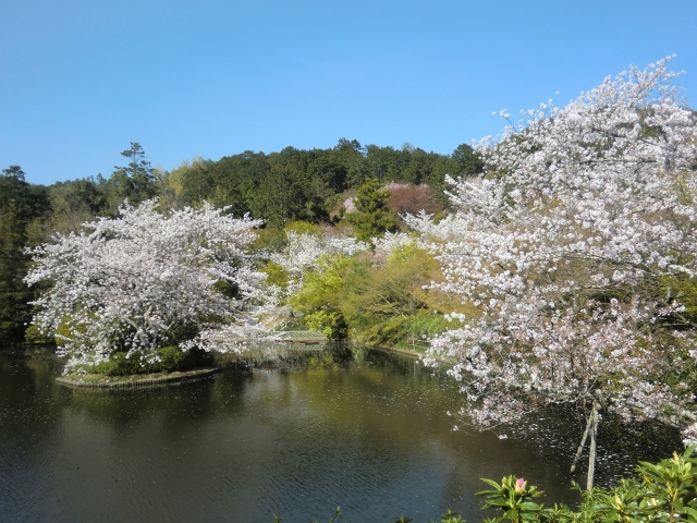 龍安寺の概要